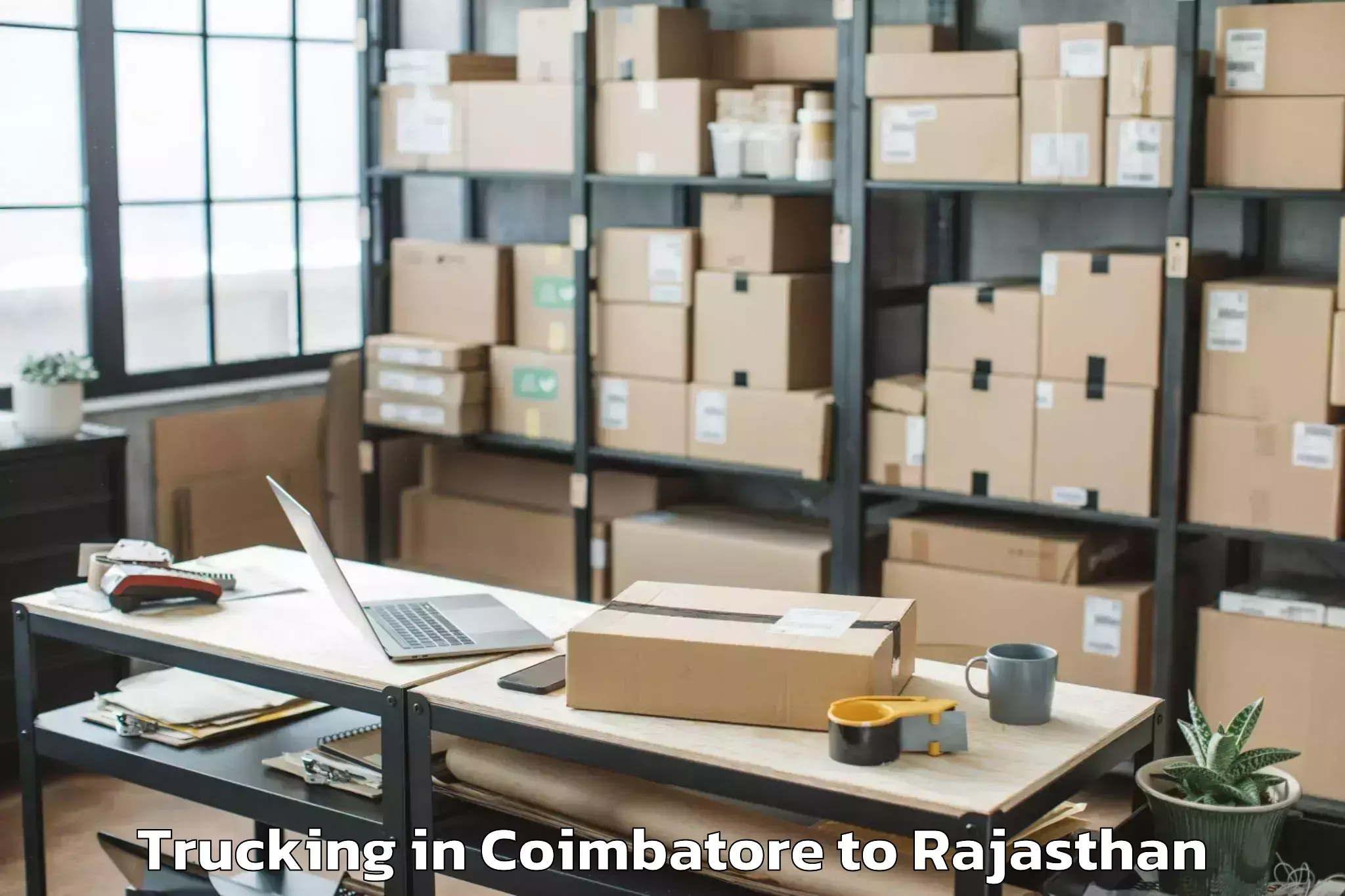 Hassle-Free Coimbatore to Pindwara Trucking